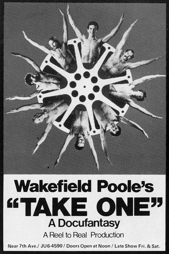 Movie poster for Take One (1977)