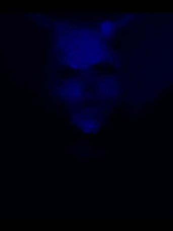 (R)eliving the (E)xecution of (M)yself poster