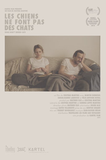 Movie poster for DOGS DON'T BREED CATS