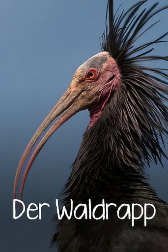 Movie poster for Der Waldrapp: Zugvogel im Aufwind (2023)