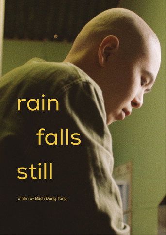 Movie poster for Rain Falls Still (2025)