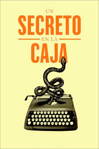 Movie poster for A Secret in the Box (2017)