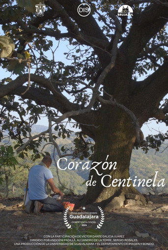 Movie poster for Corazón de centinela (2024)