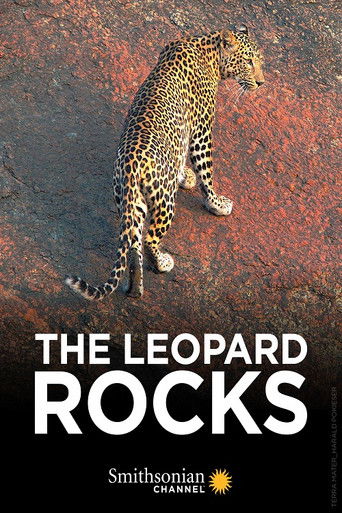 Movie poster for The Leopard Rocks (2018)