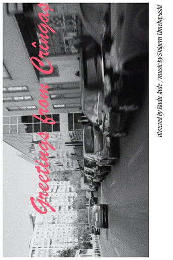 Greetings from Crîngași poster