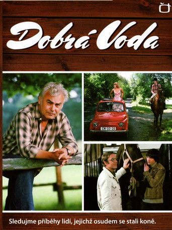 Dobrá Voda poster
