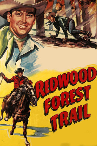 Redwood Forest Trail poster