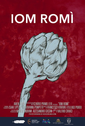 Movie poster for Iom Romì (A Day in Rome) (2017)