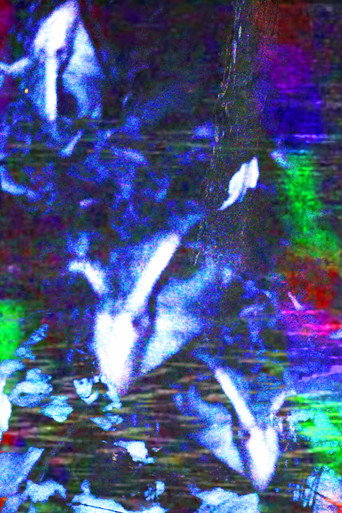 Movie poster for crow.mp4 (2026)