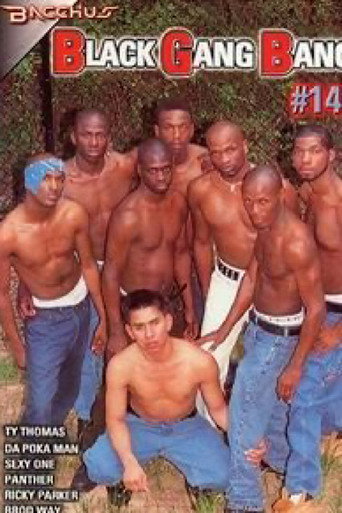 Movie poster for Black Gang Bang 14 (2001)
