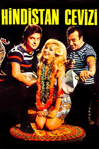 Movie poster for Hindistan Cevizi (1967)