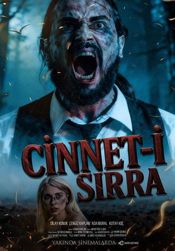 Movie poster for Cinnet-i Sırra