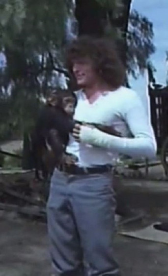 Fieras contra fieras poster