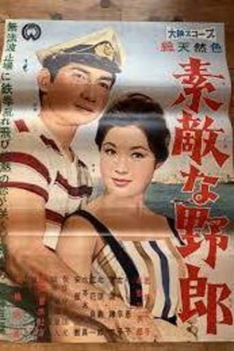 Movie poster for A Nice Guy (1960)