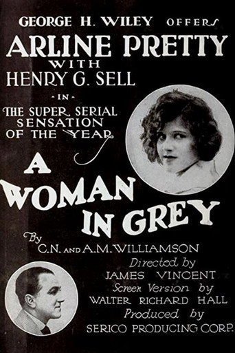 Movie poster for A Woman in Grey (1920)