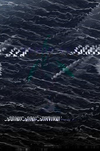 Sonic Sea poster