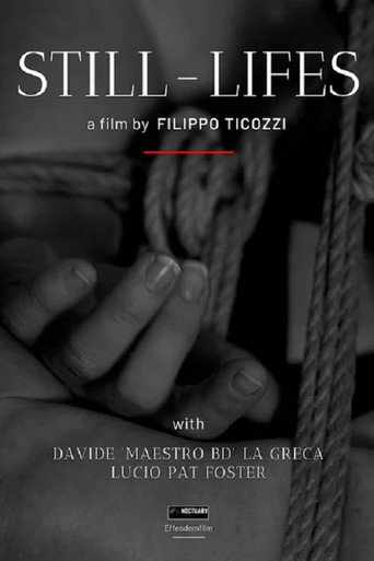Movie poster for Still-Lifes (2020)