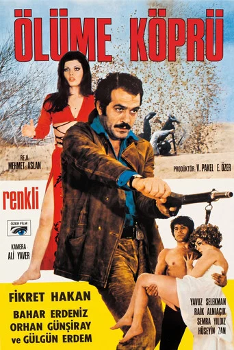 Movie poster for Ölüme Köprü (1972)