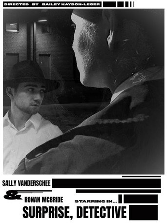 Movie poster for Surprise Detective (2025)