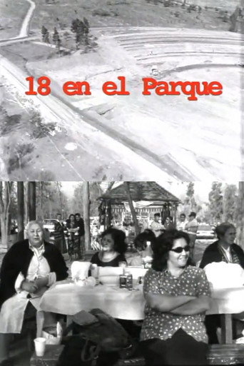 Movie poster for 18 en el parque (1999)