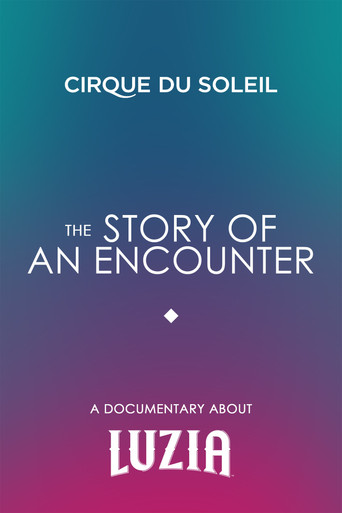 Movie poster for The Story Of An Encounter (2016)