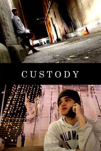 Movie poster for Custody (2016)