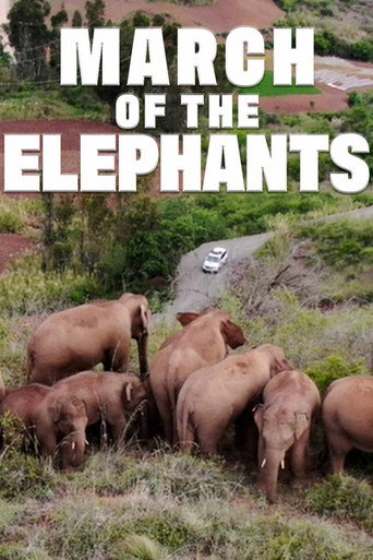 Movie poster for March of the Elephants (2022)