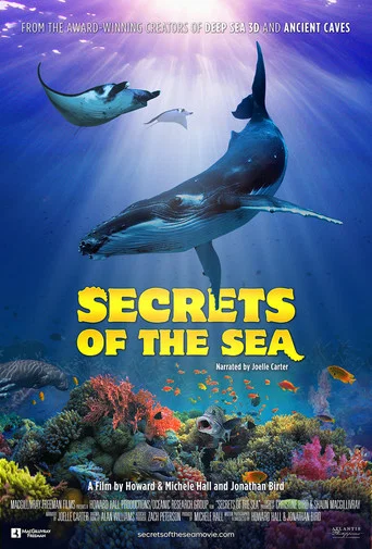 Movie poster for Secrets of the Sea (2022)