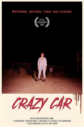Movie poster for Crazy Car (2019)