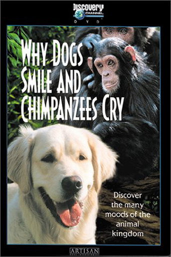 Movie poster for Why Dogs Smile and Chimpanzees Cry (1999)
