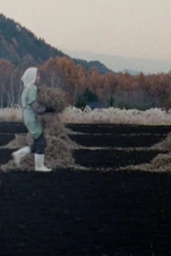 Movie poster for NО̄ (2003)