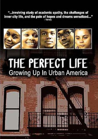 Movie poster for The Perfect Life (2006)