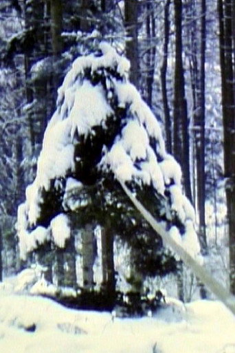 Movie poster for Pine Tree with Rubber Band (1980)