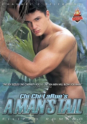 Movie poster for A Man’s Tail (2003)