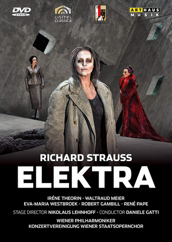 Movie poster for Strauss R: Elektra (2010)