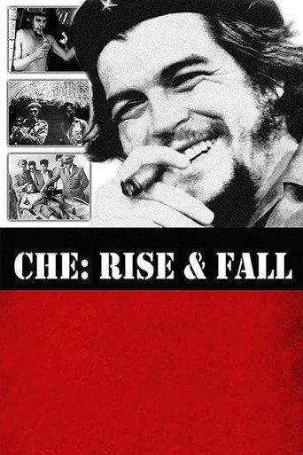 Movie poster for Che: Rise and Fall (2009)