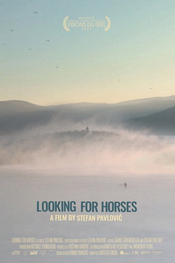 Movie poster for Looking for Horses (2021)