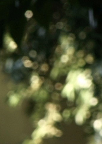 Movie poster for Glimmering (2024)