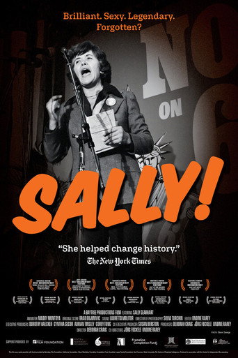 Movie poster for Sally! (2024)