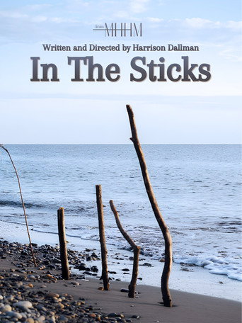 Movie poster for In The Sticks (2021)