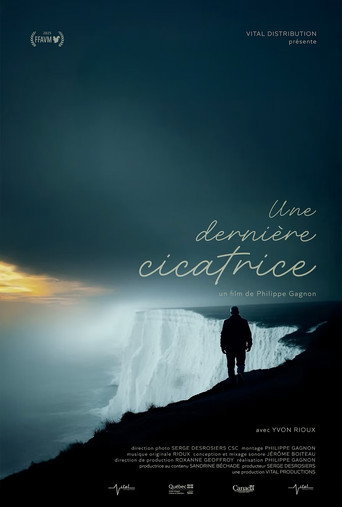 The Last Scar poster