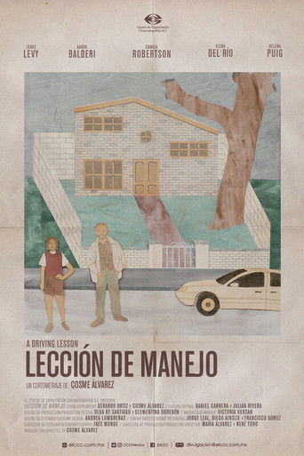 A Driving Lesson poster