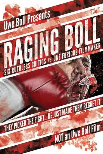 Movie poster for Raging Boll (2010)