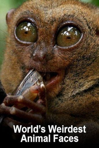 Series poster for World's Weirdest Animal Faces (2016)