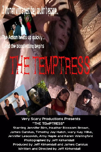 Movie poster for The Temptress (2002)