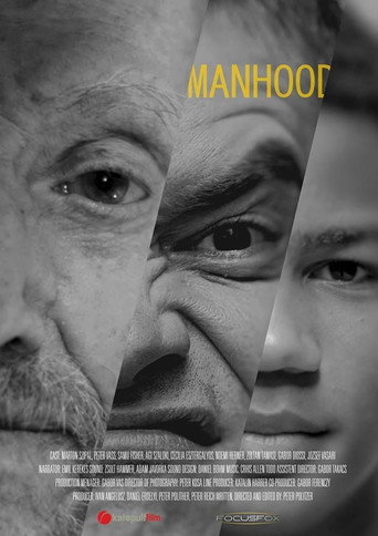 Movie poster for Manhood (2017)