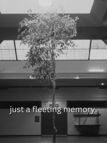 Movie poster for just a fleeting memory. (2024)