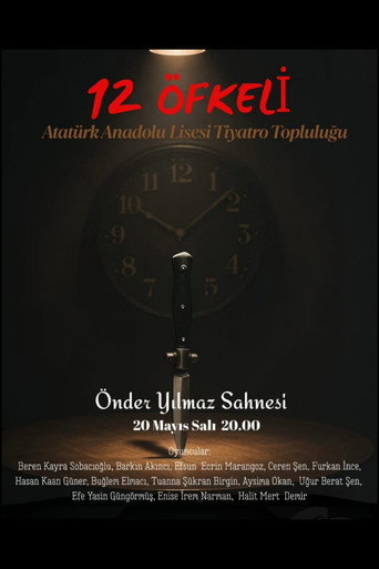Movie poster for 12 Kızgın (2025)
