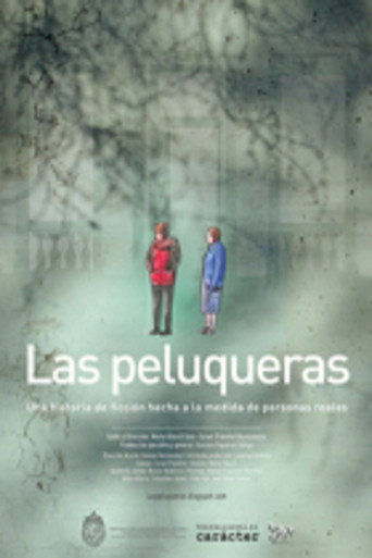 Movie poster for The Hairdressers (2007)