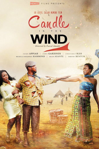 Movie poster for Candle in the Wind (2015)